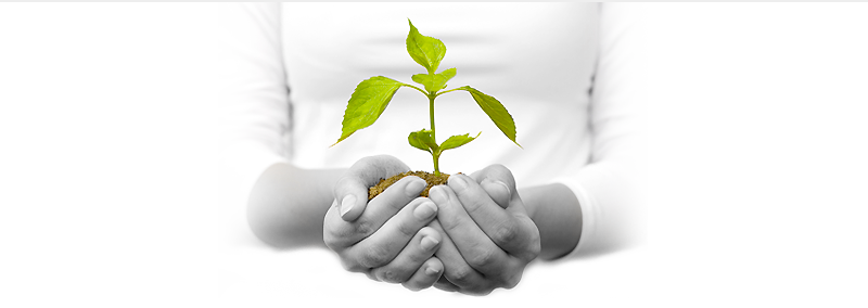 Planned Giving 800px